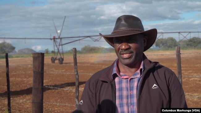 Ephraim Pasipanodya will increase his farm's production of wheat, a key crop in Zimbabwe.