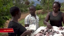 Ứng dụng giúp đẩy lùi tình trạng 'Đổi tình lấy cá' ở Kenya 