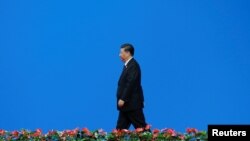 CHINA-POLITICS/XI