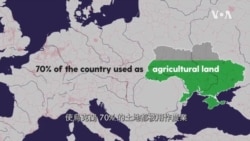 視頻解構：烏克蘭農業前景