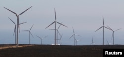 FILE - Wind mills are seen at the Monte Redondo wind farm outside Ovalle, 326 km north of Santiago, February 8, 2011. (REUTERS/VÃ­ctor Ruiz Caballero)