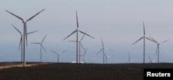 Expediente - Molinos encontrados el 8 de febrero de 2011 en el parque eólico Monte Retondo en las afueras del Óvalo, 326 km al norte de Santiago.  (REUTERS / Víctor Ruiz Caballero)