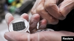 Một kỹ sư cầm một con chip ở Viện Nghiên cứu Bán dẫn Đài Loan (TSRI) ngày 11/2/2022.