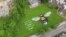 Drone Shows Giant Bee Mural on World Bee Day 