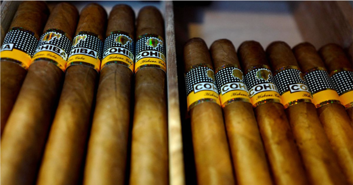 famous tobacco product from havana cuba increases export of products in 2019 by almost 10 million dollars Club Havana Recto Cigar -