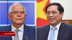 Ngoại trưởng Việt Nam điện đàm với Phó Chủ tịch Ủy ban Châu Âu

