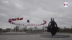 Suecia y Finlandia piden oficialmente entrar a la OTAN remodelando la seguridad transatlántica con Moscú