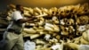 Zimbabwe Seeks to Sell Supply of Seized Elephant Ivory