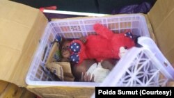 Satu individu bayi orang utan Sumatra yang disita polisi dari pelaku perdagangan satwa dilindungi di Sumatra Utara. (Courtesy: Polda Sumut)
