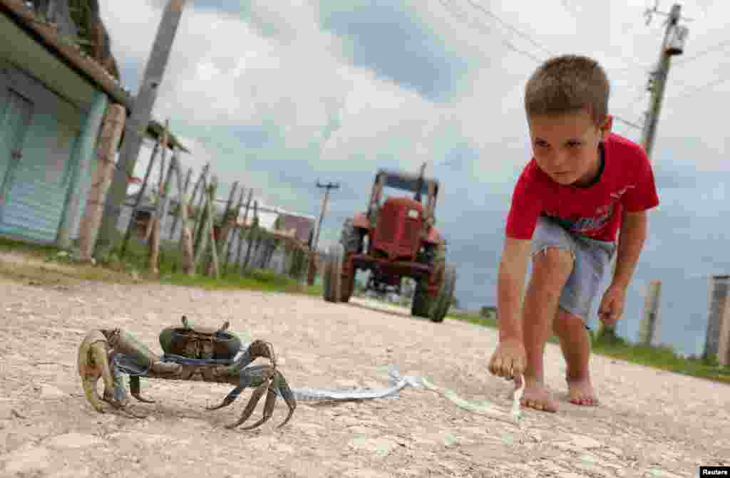 Yang Estrada, 5, plays with a crab on the street in La Panchita, Cuba, May 28, 2022. 