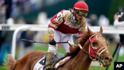 Sonny Leon celebrates after riding Rich Strike past the finish line to win the 148th running of the Kentucky Derby horse race at Churchill Downs, May 7, 2022, in Louisville, Ky.