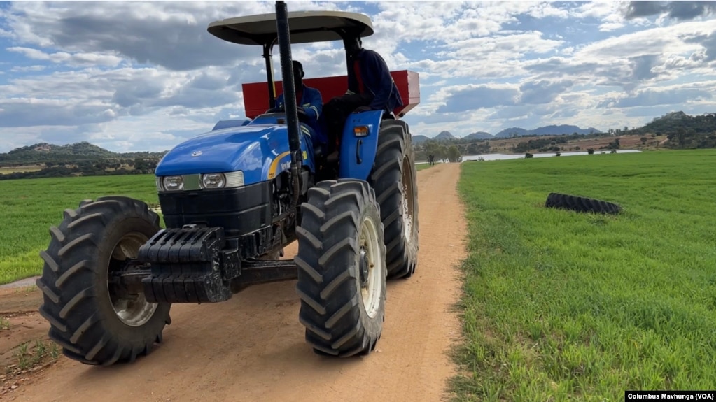 A farmer drives a tractor through a wheat farm in the Banket Zvimba district in Zimbabwe on May 4, 2022.