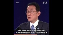 岸田文雄：武力入侵或在亚太重现