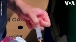 ԱՌԱՆՑ ՄԵԿՆԱԲԱՆՈՒԹՅԱՆ. Ֆլամինգոյի ճուտիկներին հաջողվել է փրկել