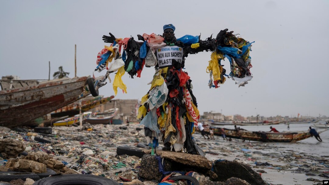 Senegal COP27 Climate Summit