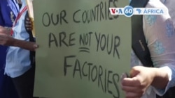 Manchetes africanas 11 novembro: Activistas climáticos manifestam-se no Egipto 