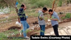 FILE - Researchers studying a malaria outbreak in Dire Dawa, Ethiopia, search for invasive Anopheles stephensi mosquitoes in this undated photo. (Tadele Emiru photo)