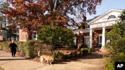 A Virginia Department of Corrections canine team searches the scene near an overnight shooting that occurred at the University of Virginia, Nov. 14, 2022, in Charlottesville. Va. 