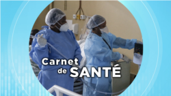 Carnet de santé : la santé digestive et les troubles gastro-intestinaux