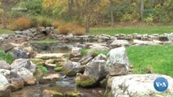 Amerikaga sayohat: Virjiniya 