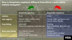 Differences between the Anopheles stephensi mosquito and Africa's main native malaria mosquito. (Source: World Health Organization)
