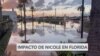 Comerciantes de Hollywood, Florida, temen impacto económico de huracanes 