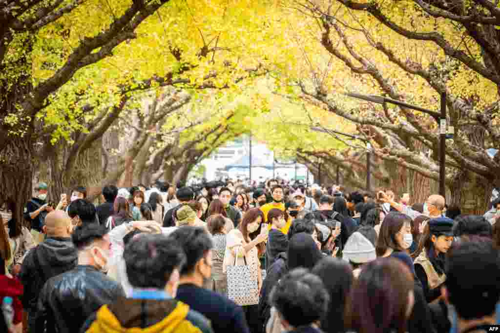 Orang-orang berjalan melewati pepohonan dengan warna-warni dedaunan musim gugur di kota Tokyo, Jepang. (Foto: AFP)&nbsp;