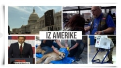 Iz Amerike 129 (12. novembar 2022)