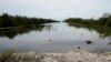 ARCHIVO - Vista parcial de la calzada de Old Tamiami Trail, cerca del Centro de visitantes de Shark Valley en la zona de los Everglades, en Florida, Estados Unidos, en agosto de 2021.