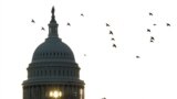 Senado en manos demócrata, mientras el control de la Cámara sigue incierto