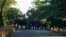 FILE: Elephants cross a road early morning, outside the Hwange National Park, Hwange, Zimbabwe, on May 26, 2022. 