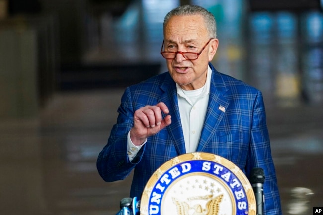 FILE - Senate Majority Leader Chuck Schumer, D-N.Y., speaks during a press conference in New York, Nov. 13, 2022. (AP Photo/Eduardo Munoz Alvarez)