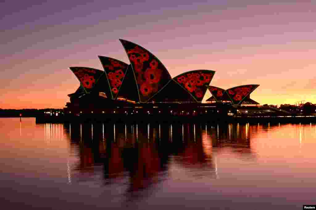 The sails of the Sydney Opera House are illuminated with poppies at dawn to mark Remembrance Day.