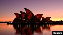 The sails of the Sydney Opera House are illuminated with poppies at dawn to mark Remembrance Day.