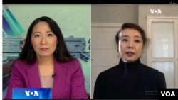 美国之音主持人樊冬宁(左)于11月11日邀请到知名华人作家、电影编剧严歌苓女士做客《时事大家谈》的视频截屏。