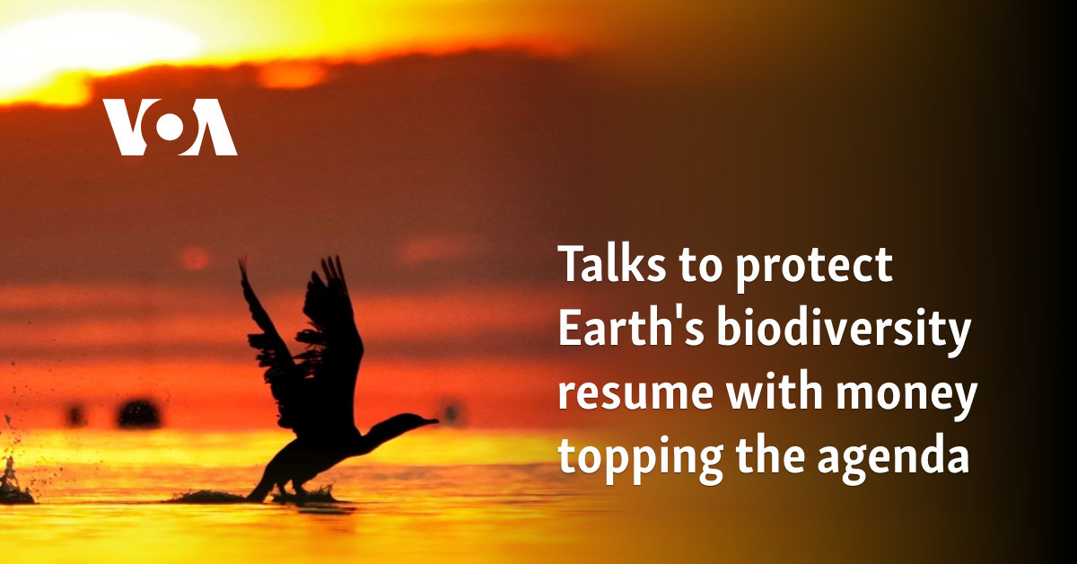 Talks to protect Earth's biodiversity resume with money topping the agenda