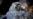 NASA Looks to the Future of Manned Spaceflight Programs