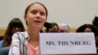 Greta Thunberg habló a legisladores en Washington para exigirles una mayor acción para combatir el cambio climático.