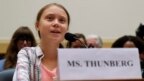 Greta Thunberg a legisladores: "esfuércense más por el cambio climático"