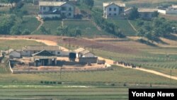 1일 북한 황해북도 개풍군 지역 주민들(오른쪽 하단)이 모내기를 하기 위해 논으로 이동하고 있다. 한국 파주시 오두산 통일전망대에서 바라본 모습. 