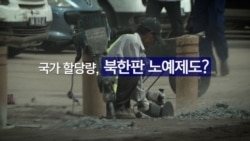 북한 노동자들 “여권 뺏기고, 15층 곤돌라에 매달려”...제재보다 시급한 것?
