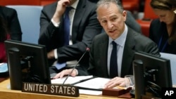 Acting Permanent Representative of the United States Jonathan Cohen addresses the United Nations Security Council, at U.N. headquarters, Jan. 22, 2019.
