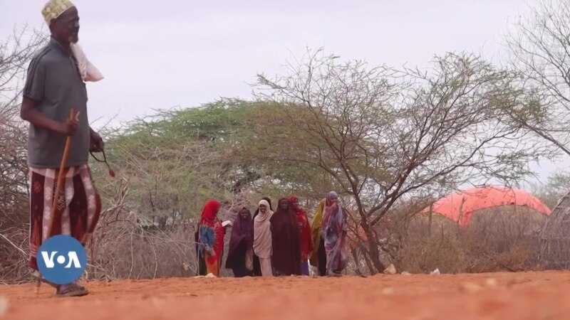 Sécheresse au Kenya: plus de 4 millions de personnes en détresse alimentaire