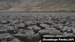 Una corteza seca en el lecho de la laguna de Cconchaccota en la región Apurimac de Perú, el 25 de noviembre de 2022.