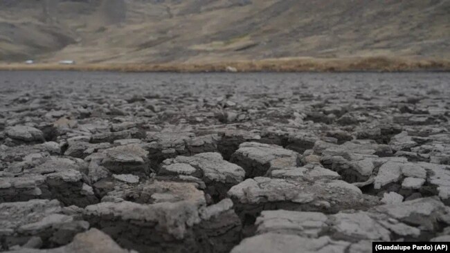 Una corteza seca en el lecho de la laguna de Cconchaccota en la región Apurimac de Perú, el 25 de noviembre de 2022.