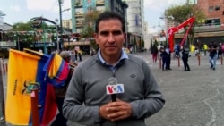 Ecuatorianos celebran el empate en el Mundial de Qatar frente a Países Bajos