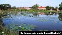 Parque N'Batonha, Guiné-Bissau