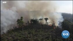 Com novo presidente, Brasil tem desafio de reduzir desmatamento na Amazônia