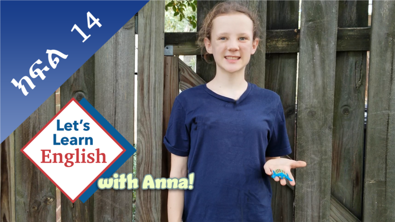 Lesson 14: What is your favorite bug?