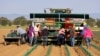 FILE - Farm workers plant drought-resistant grapevines at a farm in Woodland, California, April 25, 2022.